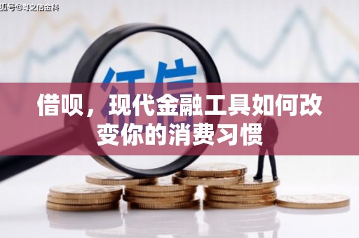 慈溪借呗，现代金融工具如何改变你的消费习惯