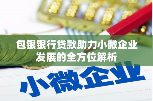 慈溪包银银行贷款助力小微企业发展的全方位解析
