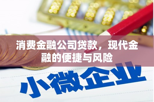 慈溪消费金融公司贷款，现代金融的便捷与风险