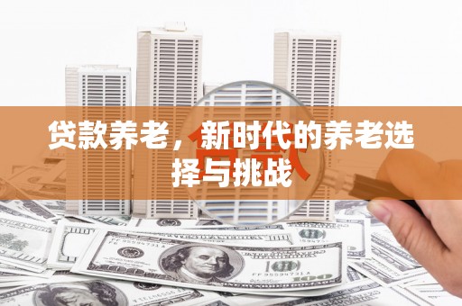 慈溪贷款养老，新时代的养老选择与挑战