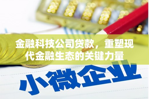 慈溪金融科技公司贷款，重塑现代金融生态的关键力量