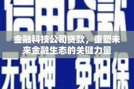 慈溪金融科技公司贷款，重塑未来金融生态的关键力量