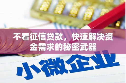 慈溪不看征信贷款，快速解决资金需求的秘密武器