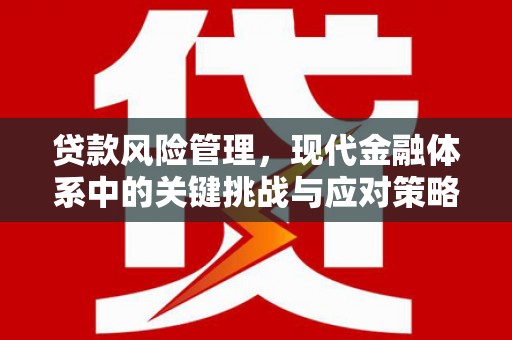 慈溪贷款风险管理，现代金融体系中的关键挑战与应对策略