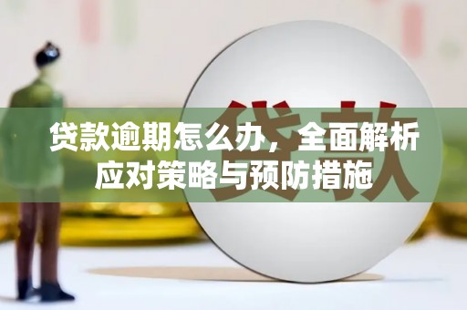 慈溪贷款逾期怎么办，全面解析应对策略与预防措施