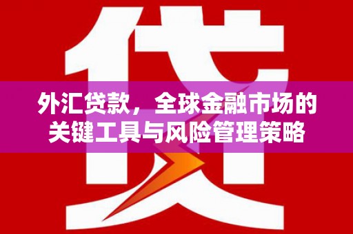 慈溪外汇贷款，全球金融市场的关键工具与风险管理策略