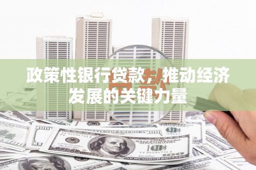 慈溪政策性银行贷款，推动经济发展的关键力量