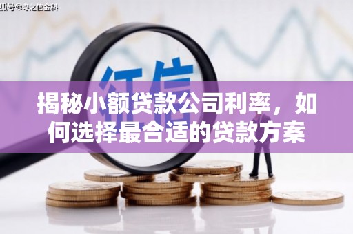 慈溪揭秘小额贷款公司利率，如何选择最合适的贷款方案