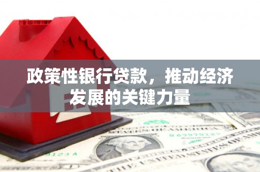 慈溪政策性银行贷款，推动经济发展的关键力量