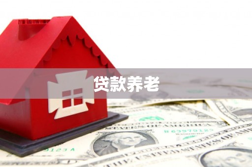 慈溪贷款养老