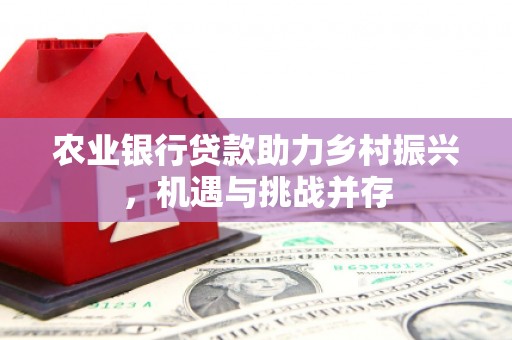 慈溪农业银行贷款助力乡村振兴，机遇与挑战并存