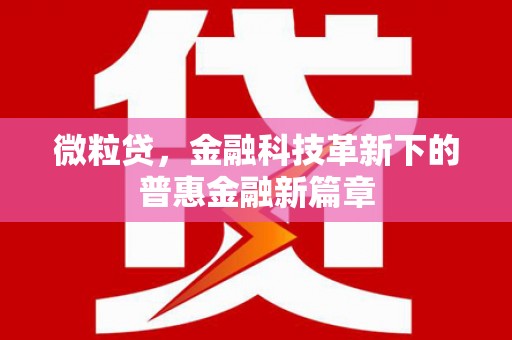 慈溪微粒贷，金融科技革新下的普惠金融新篇章