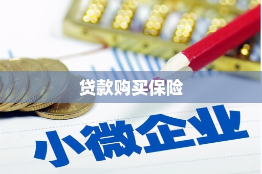 慈溪贷款购买保险