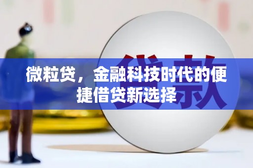 慈溪微粒贷，金融科技时代的便捷借贷新选择