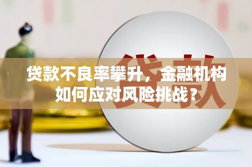 慈溪贷款不良率攀升，金融机构如何应对风险挑战？