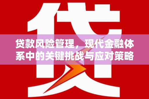 慈溪贷款风险管理，现代金融体系中的关键挑战与应对策略