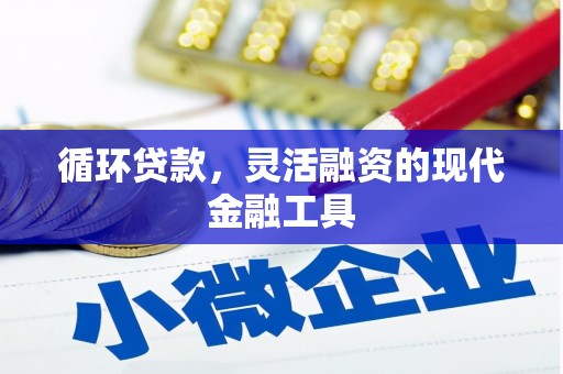 慈溪循环贷款，灵活融资的现代金融工具