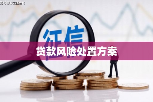 慈溪贷款风险处置方案